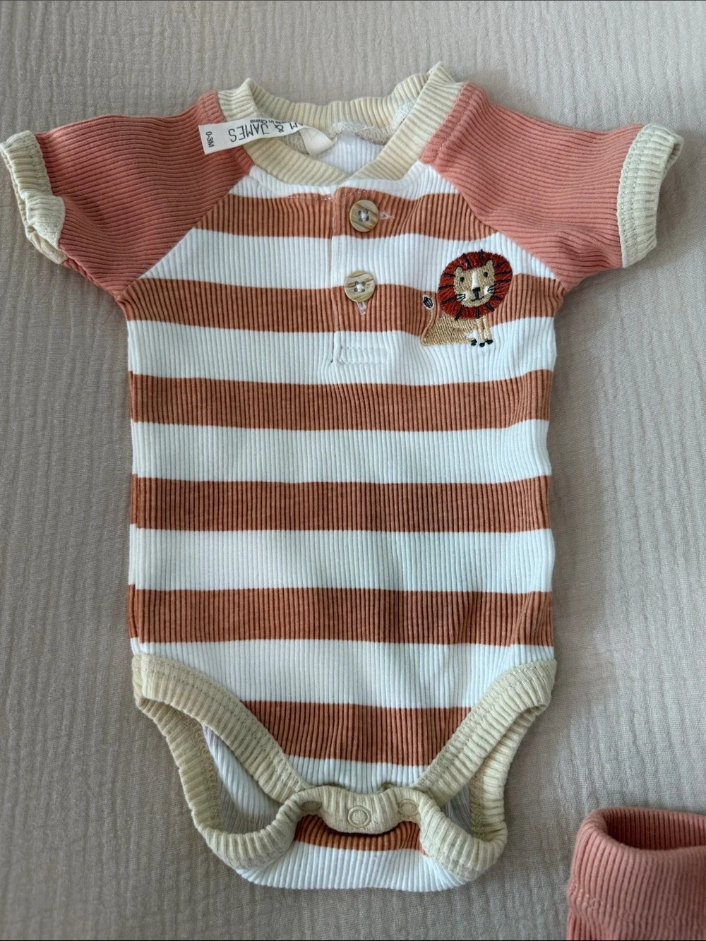 Zara Rust & Cream Striped Lion Ribbed Two-Piece Set